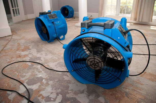 Best Water damage restoration near me  in Aiken, SC