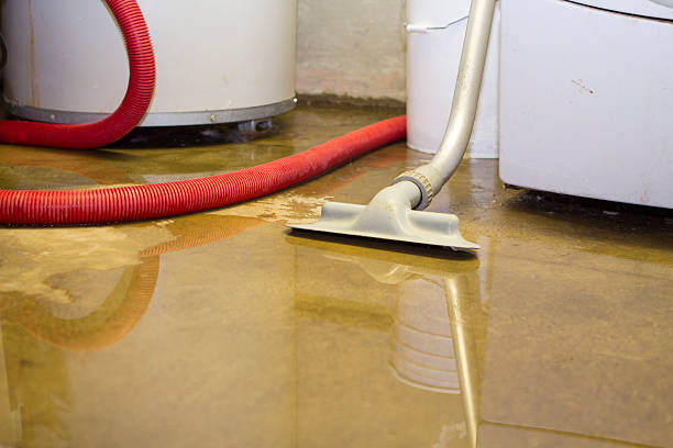 Best Ceiling water damage repair  in Aiken, SC