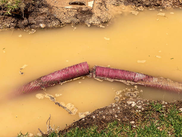  Aiken, SC Water damage restoration Pros